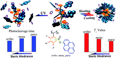 Graphical abstract: Steric hindrance effect on the thermo- and photo-responsive properties of pyrene-based polymers