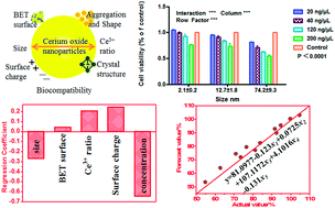 Graphical abstract: The correlation between multiple variable factors and the autocatalytic properties of cerium oxide nanoparticles based on cell viability