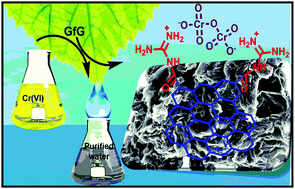 Graphical abstract: Designed functionalization of reduced graphene oxide for sorption of Cr(vi) over a wide pH range: a theoretical and experimental perspective