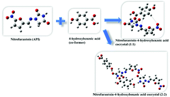 Graphical abstract: Spectroscopic (FT-IR, FT-Raman, and 13C SS-NMR) and quantum chemical investigations to provide structural insights into nitrofurantoin–4-hydroxybenzoic acid cocrystals