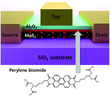 Graphical abstract: Optimized single-layer MoS2 field-effect transistors by non-covalent functionalisation