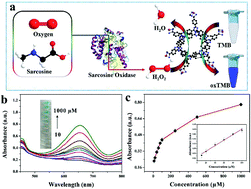 Water dispersed two-dimensional ultrathin Fe(iii)-modified covalent ...