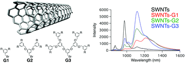 Graphical abstract: Control of near infrared photoluminescence properties of single-walled carbon nanotubes by functionalization with dendrons