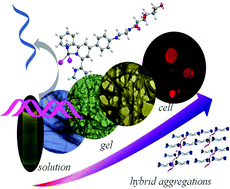 Graphical abstract: Instant hydrogel formation of terpyridine-based complexes triggered by DNA via non-covalent interaction