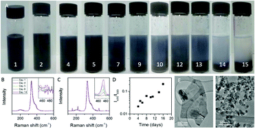 Graphical abstract: Solvent exfoliation stabilizes TiS2 nanosheets against oxidation, facilitating lithium storage applications