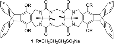 A glycoluril dimer–triptycene hybrid receptor: synthesis and molecular ...