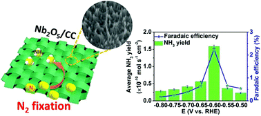 Graphical abstract: Ambient electrochemical N2-to-NH3 fixation enabled by Nb2O5 nanowire array