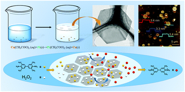 Graphical abstract: Interfacial synthesis of ultrathin two-dimensional 2PbCO3·Pb(OH)2 nanosheets with high enzyme mimic catalytic activity