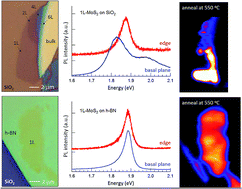 Graphical abstract: Homogeneity and tolerance to heat of monolayer MoS2 on SiO2 and h-BN