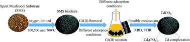 Graphical abstract: Adsorption characteristics of Cd(ii) in aqueous solutions using spent mushroom substrate biochars produced at different pyrolysis temperatures