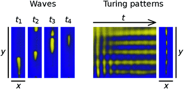 Graphical abstract: Design of localized spatiotemporal pH patterns by means of antagonistic chemical gradients