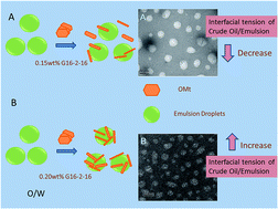 Graphical abstract: The influence of organically intercalated montmorillonites on the interfacial tension and structure of oil-in-water nanoemulsions