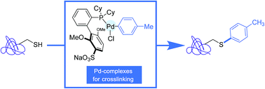 Graphical abstract: Aryl transition metal chemical warheads for protein bioconjugation