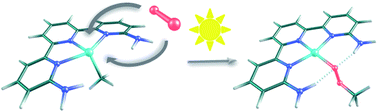 Graphical abstract: A DFT-based mechanistic proposal for the light-driven insertion of dioxygen into Pt(ii)–C bonds