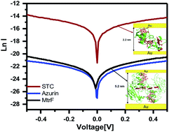 Graphical abstract: Direct evidence for heme-assisted solid-state electronic conduction in multi-heme c-type cytochromes