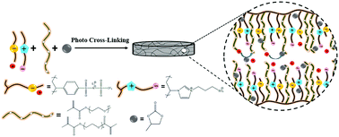 Graphical abstract: Single lithium-ion polymer electrolytes based on poly(ionic liquid)s for lithium-ion batteries