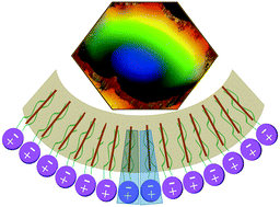 Graphical abstract: Bending nematic liquid crystal membranes with phospholipids