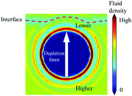 Graphical abstract: Patchy colloidal particles at the fluid–fluid interface