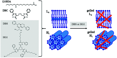 Graphical abstract: Tuning gelled lyotropic liquid crystals (LLCs) – probing the influence of different low molecular weight gelators on the phase diagram of the system H2O/NaCl–Genapol LA070