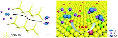 Graphical abstract: Direct fabrication of tri-metallic PtPdCu tripods with branched exteriors for the oxygen reduction reaction