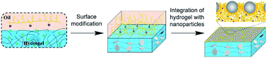 Integration Of Hydrogels With Functional Nanoparticles Using ...