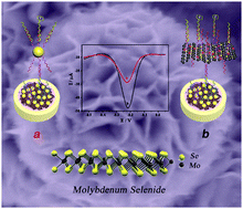 Graphical abstract: Ultrasensitive supersandwich-type biosensor for enzyme-free amplified microRNA detection based on N-doped graphene/Au nanoparticles and hemin/G-quadruplexes