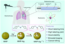 Graphical abstract: Theranostic radioiodine-labelled melanin nanoparticles inspired by clinical brachytherapy seeds