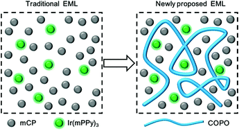 Graphical abstract: Efficient triplet utilization in conventional solution-processed phosphorescent organic light emitting diodes using a thermal activated delayed fluorescence polymer as an assistant host