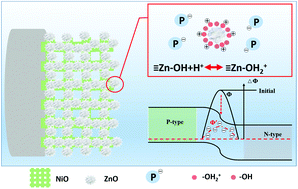 Graphical abstract: Using the interfacial barrier effects of p–n junction on electrochemistry for detection of phosphate