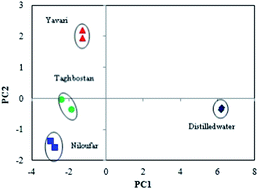 Graphical abstract: Carbon dot-based colorimetric sensor array for the discrimination of different water samples