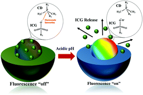 Graphical abstract: Zwitterionic carbon dot-encapsulating pH-responsive mesoporous silica nanoparticles for NIR light-triggered photothermal therapy through pH-controllable release