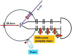 Graphical abstract: Anhydrous amorphous calcium carbonate (ACC) is structurally different from the transient phase of biogenic ACC