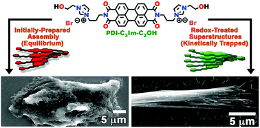 Graphical abstract: Reconfiguration of π-conjugated superstructures enabled by redox-assisted assembly