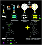 Graphical abstract: Dual detection of bioaccumulated Hg2+ based on luminescent bacteria and aggregation-induced emission