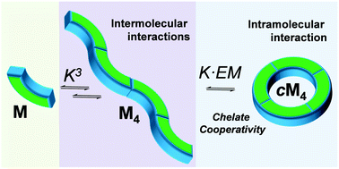 Graphical abstract: Guidelines for the assembly of hydrogen-bonded macrocycles