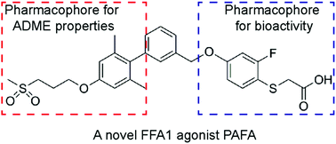 Graphical abstract: A potent free fatty acid receptor 1 agonist with a glucose-dependent antihyperglycemic effect