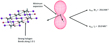 Graphical abstract: The thermal expansion properties of halogen bond containing 1,4 dioxane halogen complexes