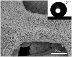 Synthesis of superhydrophobic flower-like ZnO on nickel foam†,10.1039 ...