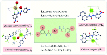 Graphical abstract: Effect of substitution on halide/hydrated halide binding: a case study of neutral bis-urea receptors