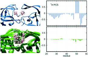 Graphical abstract: Capturing a dynamically interacting inhibitor by paramagnetic NMR spectroscopy