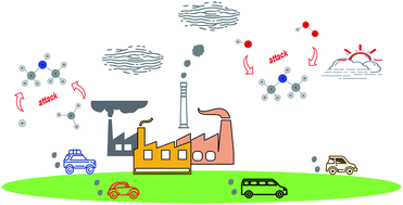 Graphical abstract: Chemical kinetics of H-abstractions from dimethyl amine by H, CH3, OH, and HO2 radicals with multi-structural torsional anharmonicity