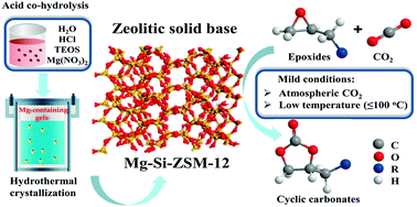 Graphical abstract: Straightforward synthesis of MTW-type magnesium silicalite for CO2 fixation with epoxides under mild conditions