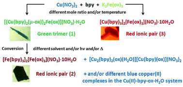 Graphical abstract: Solvent-assisted structural conversion involving bimetallic complexes based on the tris(oxalato)ferrate(iii) unit with the green → blue → red crystal color sequence