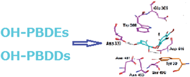 Graphical abstract: Sponge-derived polybrominated diphenyl ethers and dibenzo-p-dioxins, irreversible inhibitors of the bacterial α-d-galactosidase