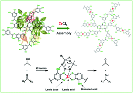 A tannin-derived zirconium-containing porous hybrid for efficient ...