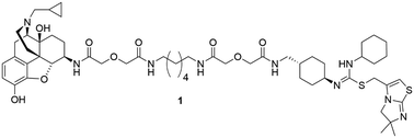 Graphical abstract: Design and synthesis of a bivalent probe targeting the putative mu opioid receptor and chemokine receptor CXCR4 heterodimer