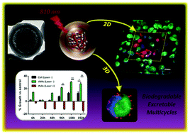 Photothermal effect by NIR-responsive excretable ultrasmall-in-nano ...