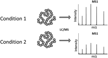 Graphical abstract: High-throughput quantitative top-down proteomics