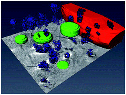 Graphical abstract: X-ray tomography shows the varying three-dimensional morphology of gold nanoaggregates in the cellular ultrastructure