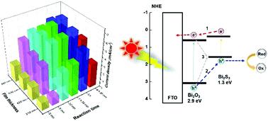 Understanding and improving photoelectrochemical performance of Bi2O3 ...